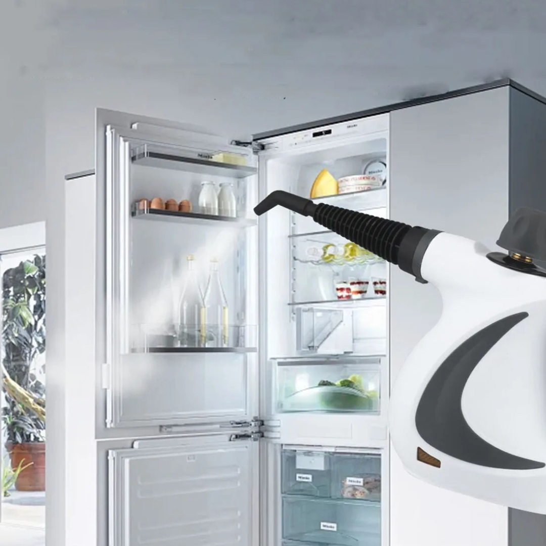 Portable High Pressure Steam Cleaner