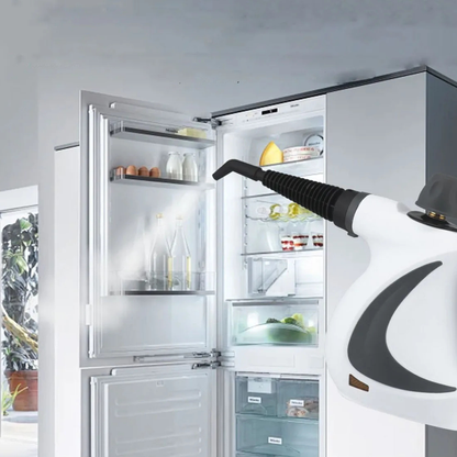 Portable High Pressure Steam Cleaner