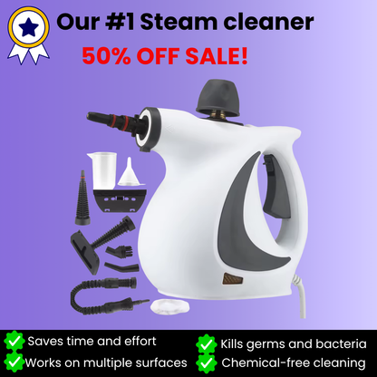 Portable High Pressure Steam Cleaner