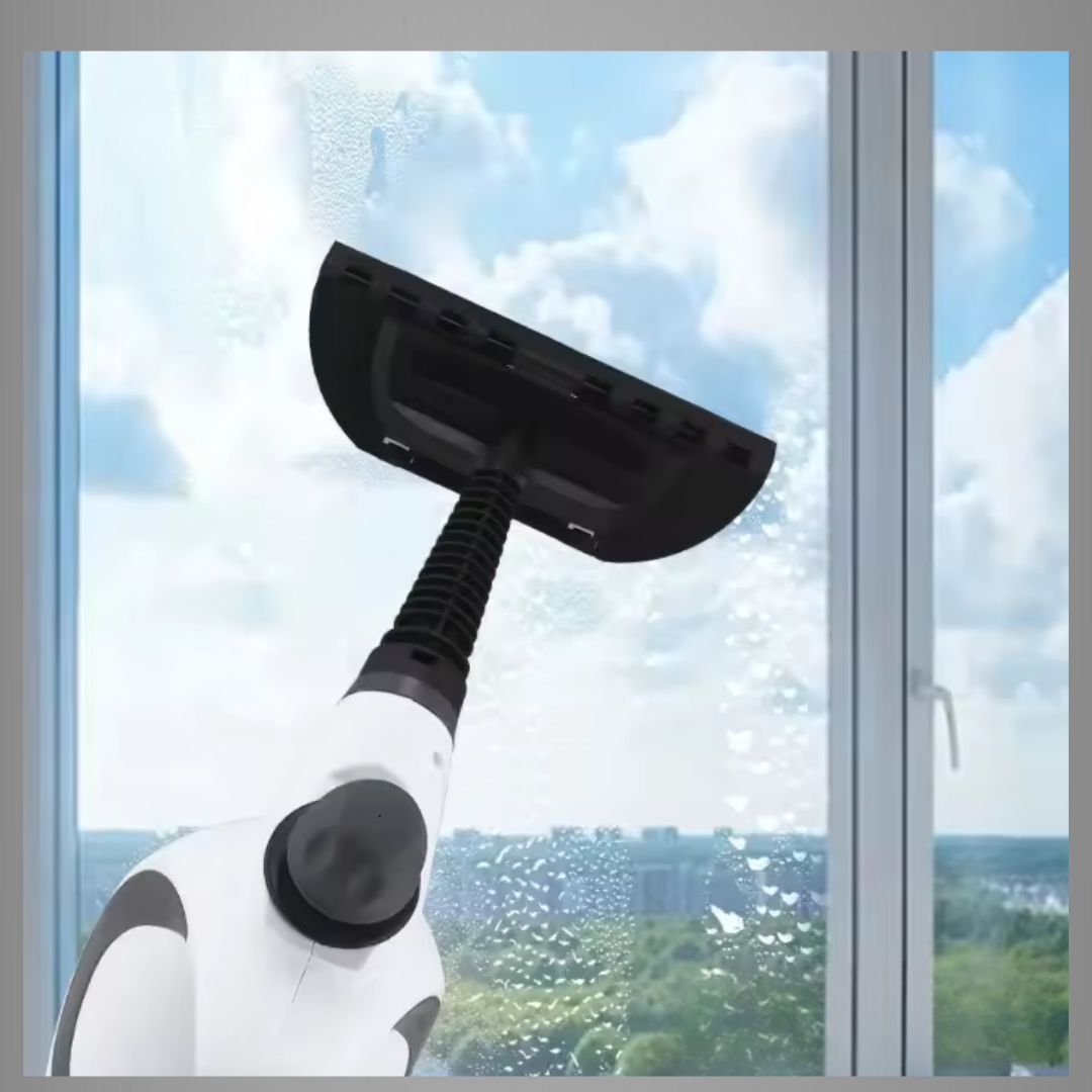 Portable High Pressure Steam Cleaner